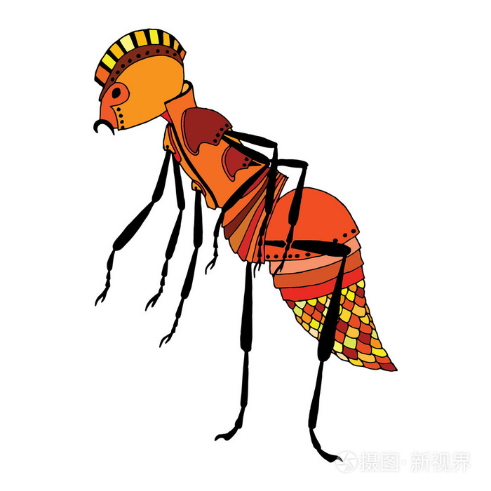 红蚂蚁