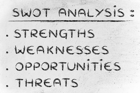 Swot 分析，以评估潜在的公司