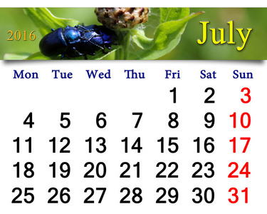 2016年6月日历与蓝色甲虫