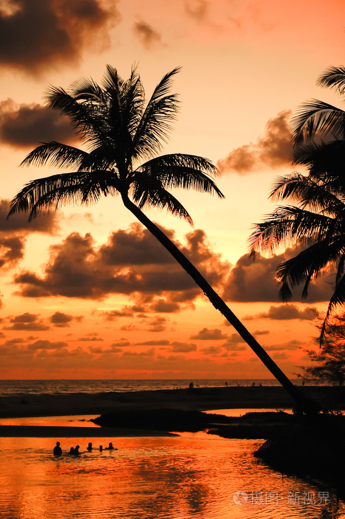 棕榈树日落色彩斑斓的天空背光泰国
