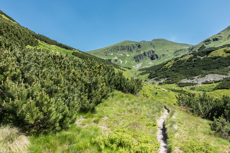 通过夏季山谷的路径