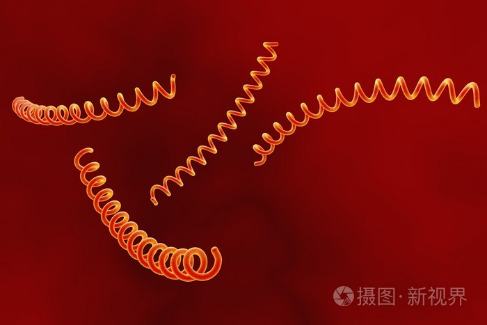 梅毒螺旋体
