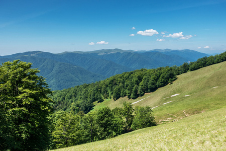 美丽的景色，从乌克兰山春