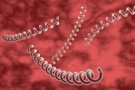 梅毒螺旋体图片-梅毒螺旋体素材-梅毒螺旋体插画-摄图新视界