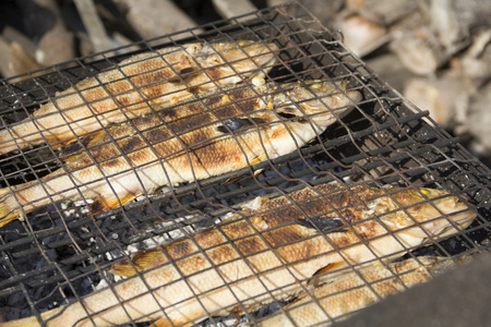 煤在烤架上烤的鱼鲈鱼