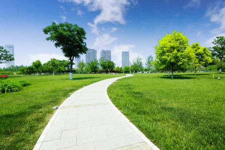 在草地上的人行道在公园的草地上长小径照片