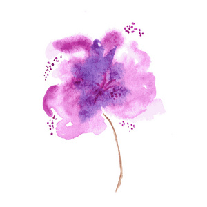 矢量花背景。 水彩花卉插图。 紫丁香