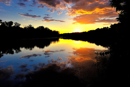 在一条安静的河上的风景如画的夏日日落
