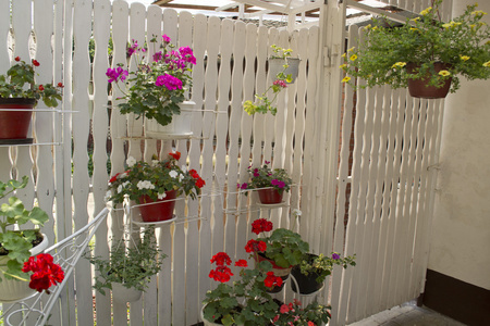悬挂式花园照片