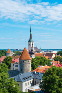 旧城的夏天视图。爱沙尼亚塔林