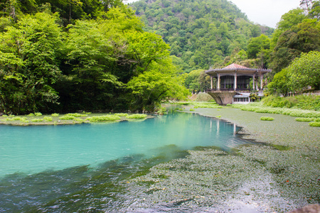 乔木与碧水湖上