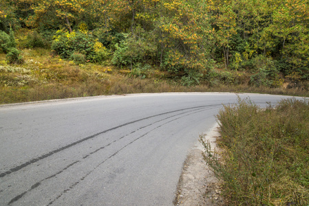 山地森林道路风图片