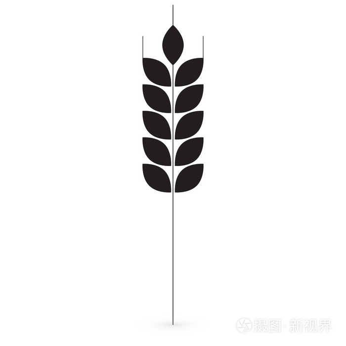 耳朵的小麦, 大麦和黑麦矢量插画-正版商用图片1jlyzs-摄图新视界
