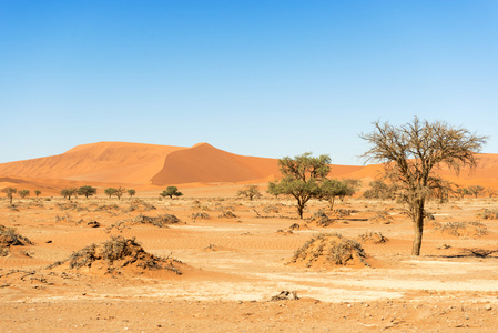 在 Sossusvlei 附近的纳米比亚沙漠沙丘