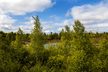北方的性质。森林和湖泊在树后面