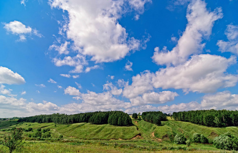 有绿色田野和蓝天的风景