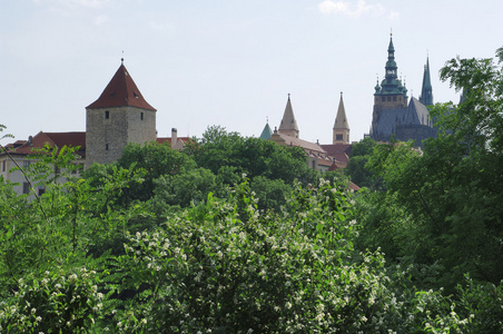 圣 Vitt 圣维特大教堂和布拉格城堡。布拉格，捷克共和国