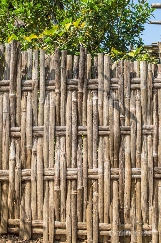 竹篱笆