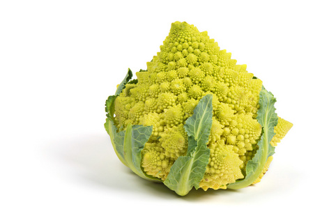 romanesco 西兰花