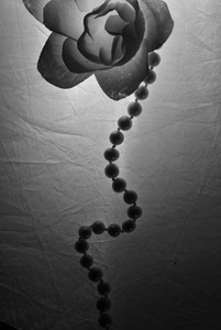 肥皂玫瑰和珍珠项链在白色背景在黑色和白色
