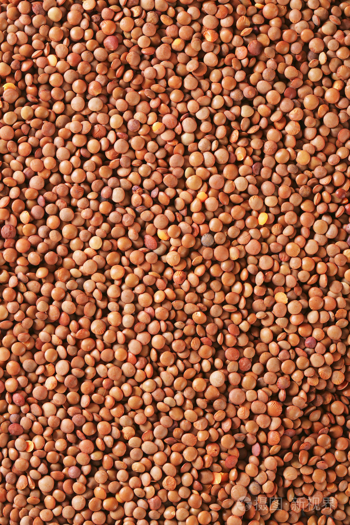 原始的整个红扁豆