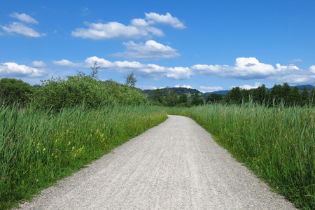 乡村道路和绿化景观