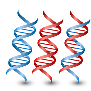 Dna 链。白色背景上的向量