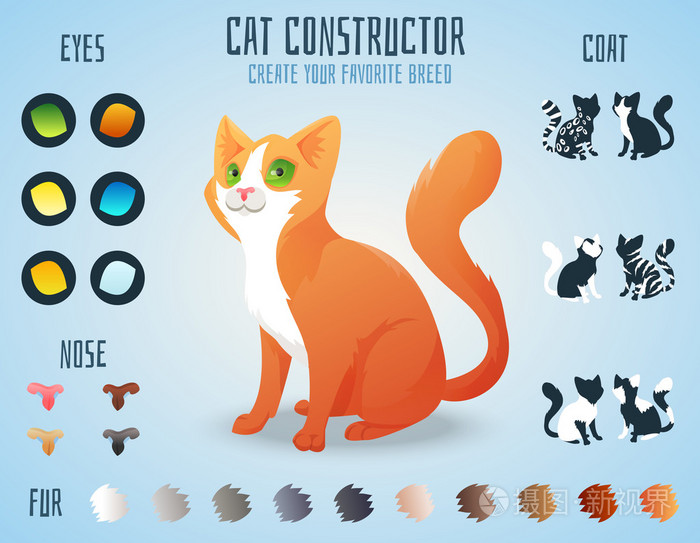 可爱猫咪品种的构造函数 您可以创建您自己的小猫品种 更改颜色 眼睛 鼻子 类型的外套插画 正版商用图片1jml3z 摄图新视界