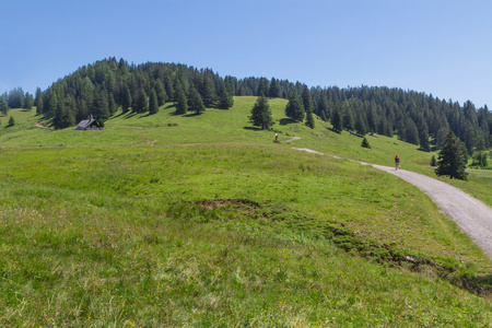 通过农村山地景观在夏季，附近 Walderalm，奥地利蒂罗尔的路径