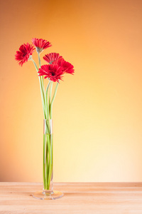 非洲菊在一个玻璃花瓶