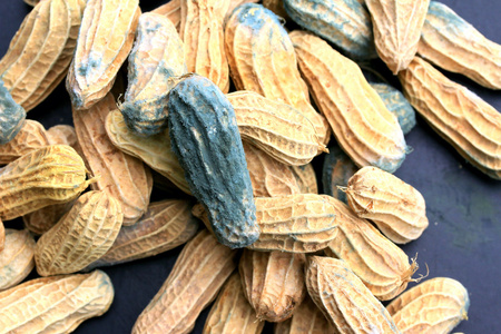 发霉的花生图片