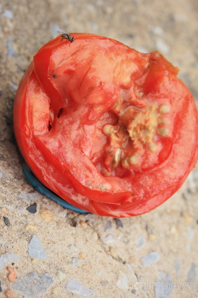 腐烂的蕃茄