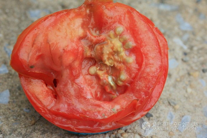 腐烂的蕃茄