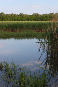 湖泊风景