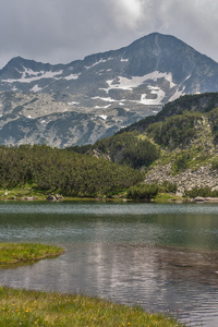 山区河流和 Banski Suhodol 峰，皮林山