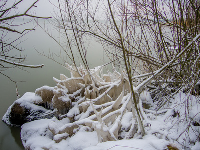雾蒙蒙的风景在海湾的霜和雪的树枝