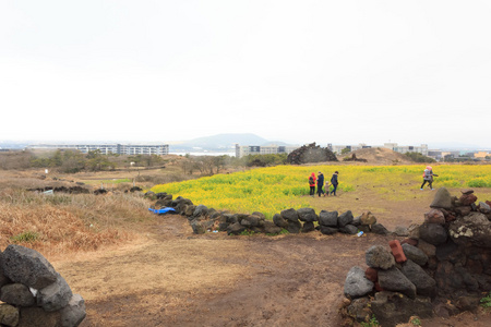 冬季景观在济州岛韩国图片