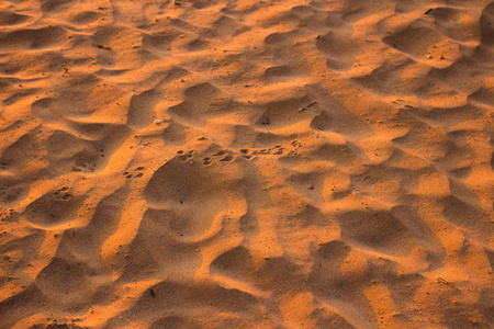 沙漠砂花纹纹理