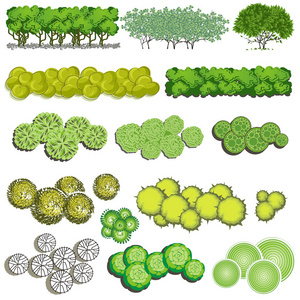 树木和布什项目顶部的景观设计，矢量图标查看