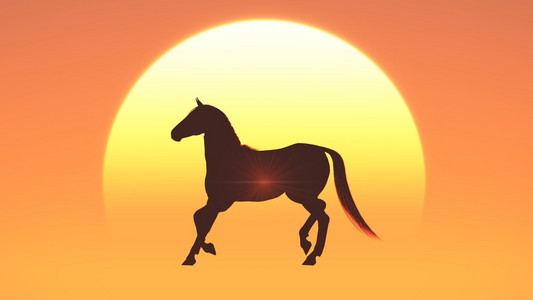 太阳升起和马照片