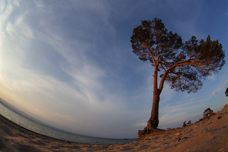 贝加尔湖。Olkhon 岛上的夏天日落景色