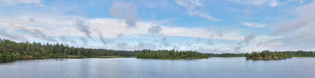 森林湖的全景