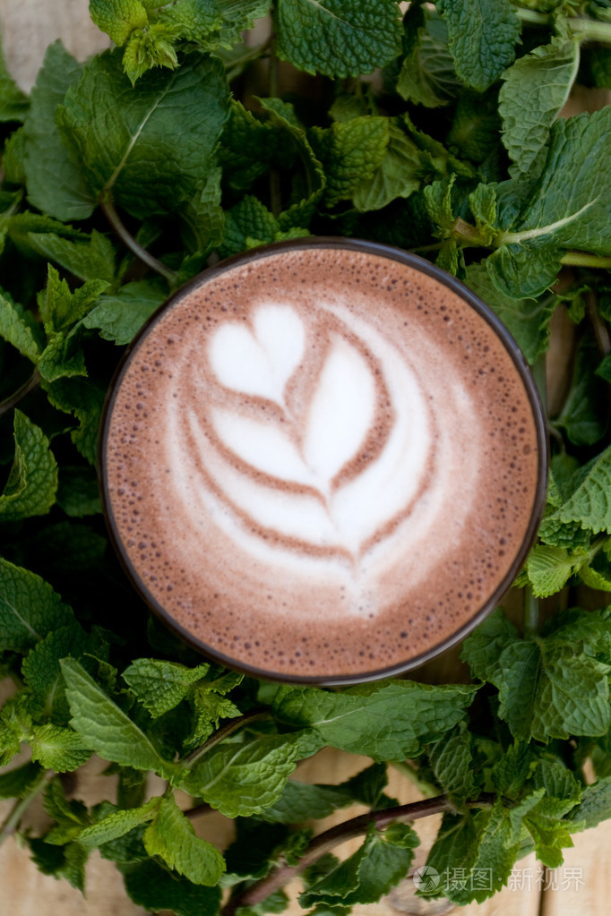 在香薄荷的有用和健康薄荷可可小枝