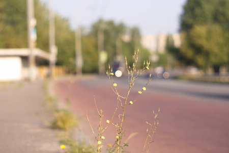 道路轨道背景模糊旅行