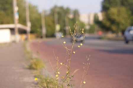 道路轨道背景模糊旅行