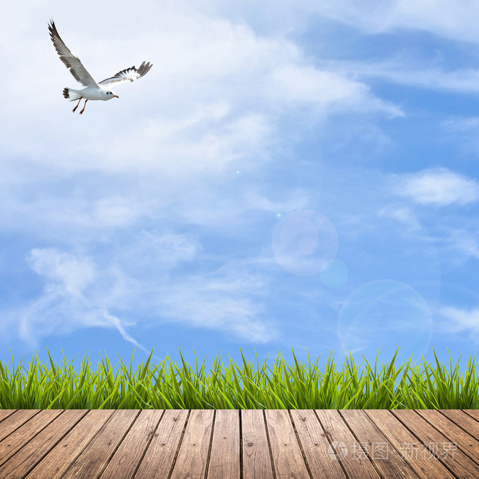 木地板和草的天空下