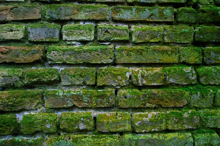 moss 砖墙