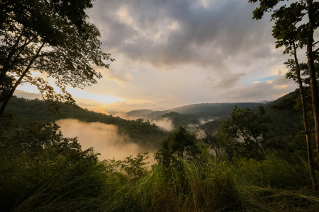 在山的夏天风景