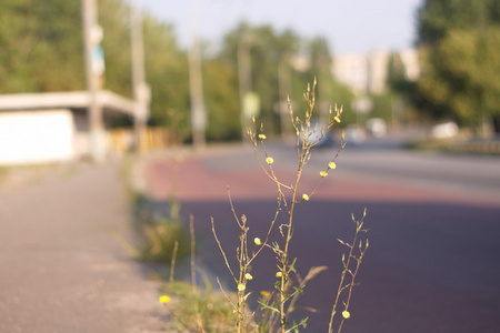 道路轨道背景模糊旅行