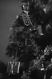 装饰圣诞节黑白色调风格图片